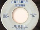 Northern Soul 45 - Dream Team 