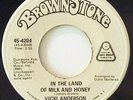 Funk Soul 45 - Vicki Anderson 