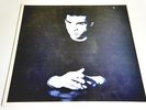 NICK CAVE AND THE BAD SEEDS-THE FIRST BORN IS DEAD-LP/Vinyl/Record