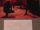 Immortal - Diabolical Fullmoon Mysticism LP FIRSTPRESS OSMOSE