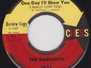 NORTHERN SOUL 45 RPM - THE RADIANTS on CHESS RECORDS (PROMO)