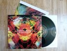 Band Of Skulls - Baby Darling Doll Face Honey vinyl LP dollface