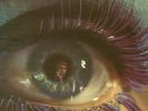 SCOTT WALKER Scott 3 or. 1969 or. UK lp EX/EX garde