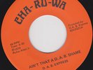 FUNK 45 RPM - D.A.B. EXPRESS on CHA-RU-WA RECORDS