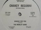 THE MOBLEY GANG Groove For You 12