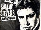 SHAKIN STEVENS 