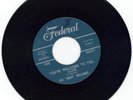 LEE SHOT WILLIAMS YOU'RE WELCOME TO THE CLUB 45RPM