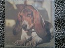 DUFFY JUST IN CASE YOU´RE INTERESTED 1974 PROG. KRACHER