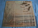 LP ITALIAN PROG I COCAI - PICCOLO GRANDE VECCHIO FIUME - ORIGINALE