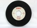 THE ORPHANS Without You / Hey Gyp HERBST 527 Al's Untouchables UNRELEASED GARAGE