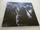 Warloghe - The First Possession - vinyl LP - , behexen