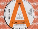 JAMES ROYAL - I CAN'T STAND IT - MINT A LABEL PROMO