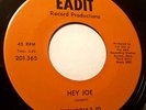 Garage Punk-Rare 1967 Euphoria's Id on Eadit (Garage Band-Saco Maine) beauty