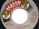 Yami Bolo - It's Not Surprising - Parson Pickney- Digi Reggae