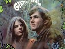 GENTLE SOUL:Ry Cooder,Van Dyke Parks,Paul Horn.Terry Melcher.Epic lp