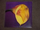 SWANS - THE BURNING WORLD - STILL SEALED 1989 RECORD LP Robert Mapplethorpe