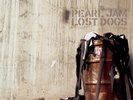 Pearl Jam Lost Dogs US Triple Vinyl LP in Gatefold Sleeve Eddie Vedder