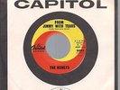 THE HONEYS on CAPITOL -LOOKS UNPLAYED - THE ONE YOU CAN'T HAVE - BEACH BOYS SURF