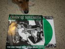 Chain Of Strength The One Thing That Still Holds True LP GREEN Revelation Bold