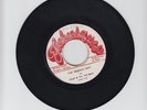 TECHNIQUES/THE REASON WHY  - LLOYD ROBINSON & THE TELL STARS (ROCKSTEADY 7