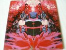 BLUE MOUNTAIN EAGLE RARE HEAVY PSYCH LP ON ATCO LABLE SD-33-324 1970 ORIG PRESS
