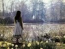 Catherine Howe - What a beautiful place - Reflection - NM - Orig UK