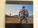 Delicate Sound of Thunder- Pink Floyd - Original Vinyl