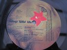 Paul McCartney & Wings WILD LIFE UK 1ST APPLE PRESS -1/-1 PLAYS MINT MINUS