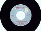 Indiana Garage The Rogues I'm Not That Way At All Sto-Va-Co 45 6406