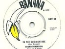 SOUND DIMENSION - In The Summertime / UK Reggae Ska Skin Mod 45