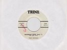 THE SHEIKS - BAGHDAD ROCK(Part1)/BAGHDAD ROCK(Part2) - TRINE