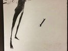 Scratch Acid LP 12