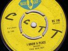 THE DEE SET/SKINHEAD REGGAE/BLUE CAT BS146/1968/I KNOW A PLACE..LISTEN