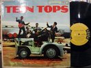 TEEN TOPS LA PLAGA MEXICO ROCK '60s  ARGENTINA LP