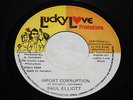 Paul Elliott Import Corruption 7