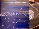 DESPERATE BICYCLES - REMORSE CODE - LP, UK PUNK VERY RARE