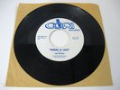 THE SHYRES where is love / my girl 45 cori PRIVATE PRESS psych fuzz GARAGE rare