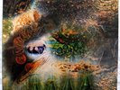 PINK FLOYD A Saucerful Of Secrets, STEREO, orig. blue/black Columbia SCX 6258