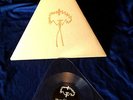 My Cat Is An Alien triangle 8” LATHE LTD 80 sonic youth jim o'rourke keiji haino
