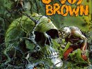 savoy brown looking in parrot pas 71042/ open, never played