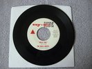 The RUN-A-BOUTS:  Wild Fire/Hi Hat - Columbus, Oh Surf Rock