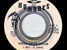 I. Roy & Hopeton Lewis 