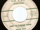 Rare early Detroit Northern Soul: Mack Rice – Baby I’m Coming Home - Lu Pine