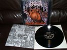 UNBOUNDED TERROR - NEST OF AFFLICTION - LP + INSERT SPAIN