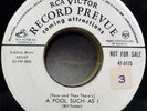 The ROBINS A Fool Such As I / My Hearts The Biggest RCA WL PROMO Doo Wop RARE 45