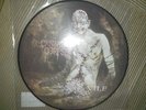 CANNIBAL CORPSE--vile,  PICTURE LP