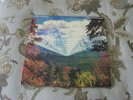 TAME IMPALA INNERSPEAKER 2LP VINYL GREAT CONDITION
