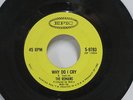 Rare Garage Mod 45 The Remains - Why Do I Cry b/w My Babe on Epic 5-9783 VG++