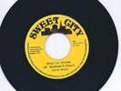 Leroy Smart Keep on Trying/Vers. Sweet City Ja.  1975 Roots/Reggae NM/NM LISTEN