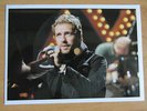 Coldplay Christmas Lights Flexi Postcard Picture Disc Poland